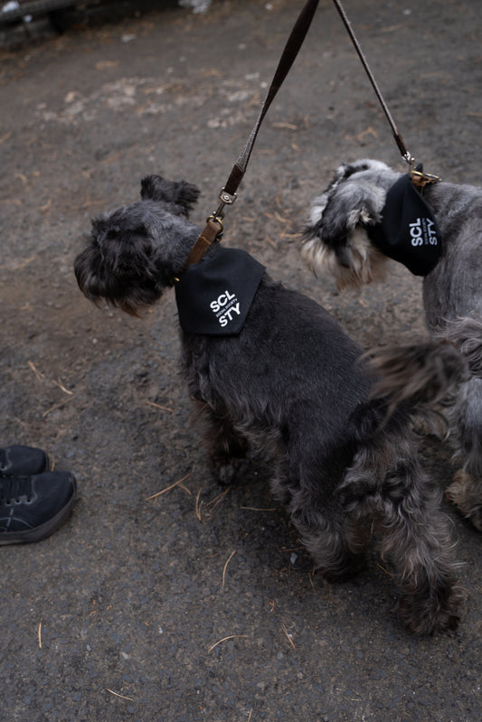Dog bandana